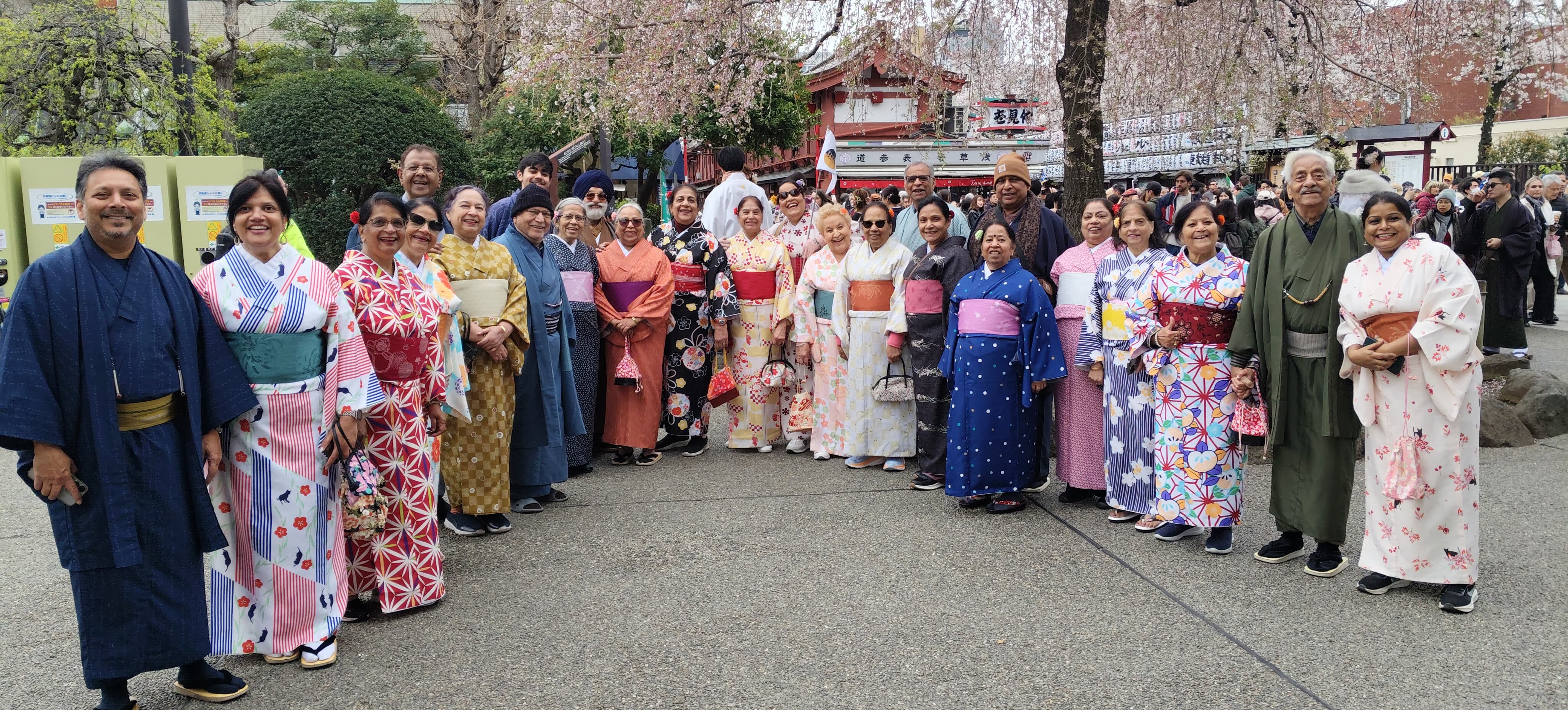 Chasing Sakura Dreams: My Unforgettable Journey to Japan