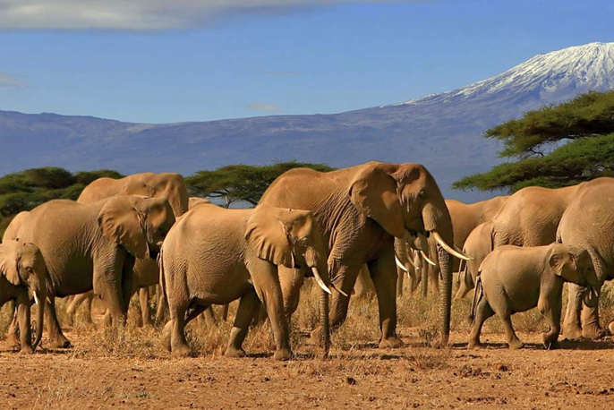 Africa