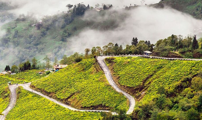 Hills of North East