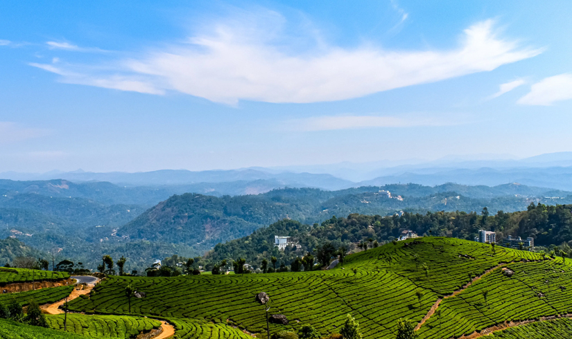 Charming Kerala