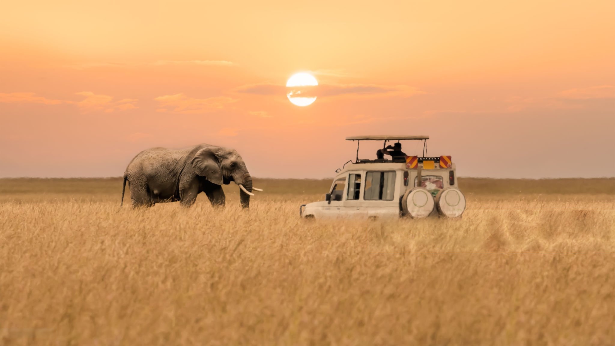 Kenya Travel